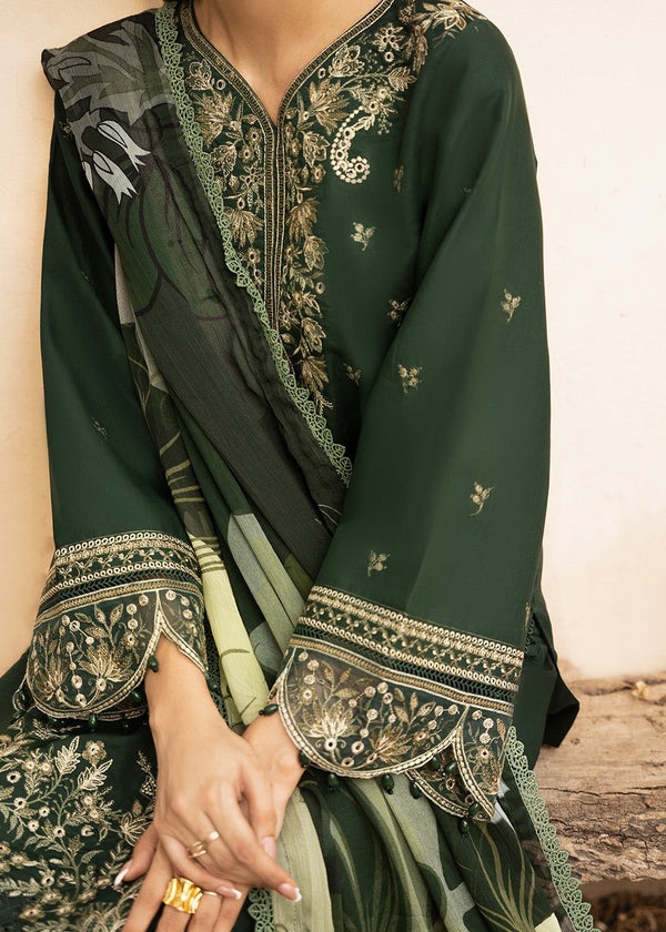 ZAIB - Image 3